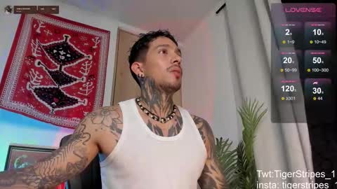 Snapshot of tigerstripes_ chatting on March 4, 1:11 am Chris online show from March 4, 1:11 am