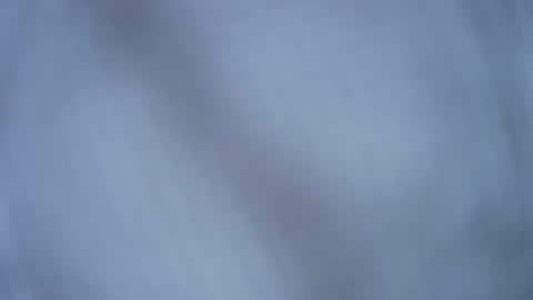 Snapshot of timgrower chatting on May 7, 7:08 pm Tim Grower online show from May 7, 7:08 pm