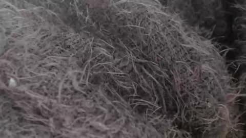 tinyslut66 online show from March 30, 9:43 am