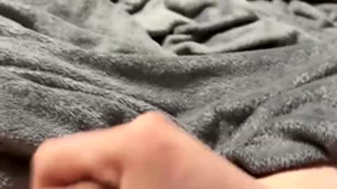 Snapshot of tmue chatting on February 15, 2:58 pm tmue online show from February 15, 2:58 pm