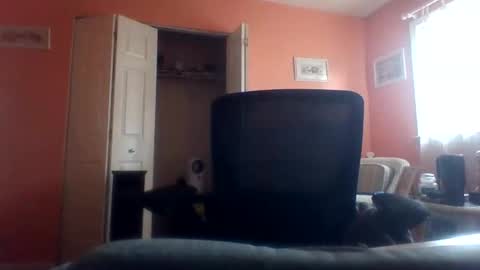 Snapshot of tomcat4848 chatting on April 22, 7:48 pm tomcat4848 online show from April 22, 7:48 pm