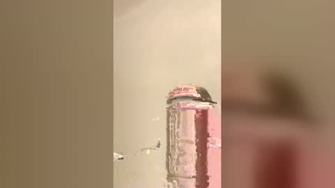 tommygun4969 online show from February 5, 12:37 am