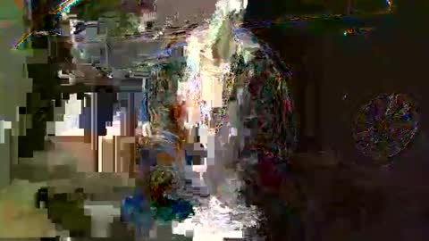 SagMeOreduceMe online show from May 7, 7:47 am