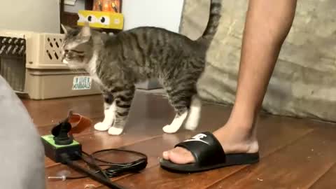 TopTierDrippa online show from March 3, 12:11 pm