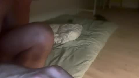 tordep online show from November 14, 4:28 pm