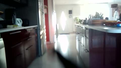 toutim6163 online show from September 30, 7:02 am