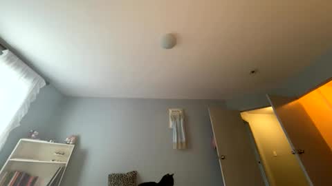 Snapshot of transgirl007 chatting on May 24, 10:04 pm transgirl007 online show from May 24, 10:04 pm