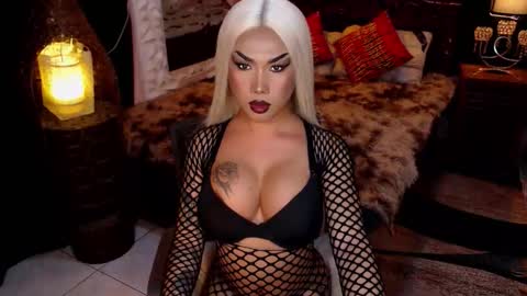 transpornidol online show from February 4, 8:53 am