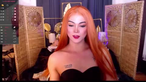 transsitips online show from May 21, 4:41 am