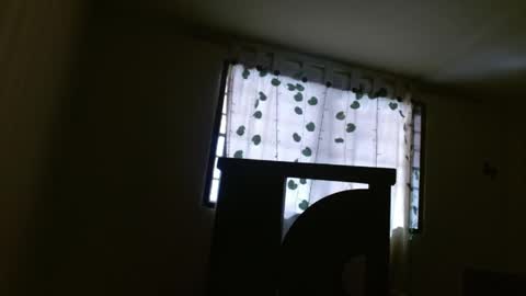 Snapshot of trebol_4 chatting on May 21, 2:57 pm trebol_4 online show from May 21, 2:57 pm