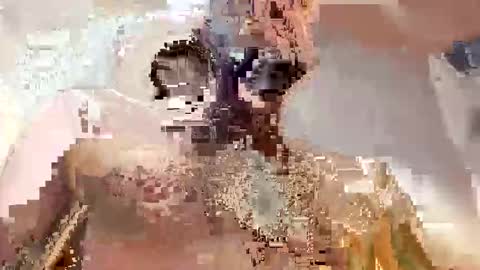 trex23rd online show from December 2, 9:47 am