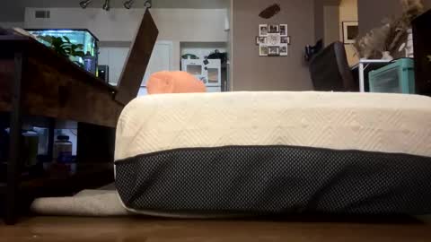 Snapshot of trickydick6 chatting on February 23, 7:11 pm trickydick6 online show from February 23, 7:11 pm