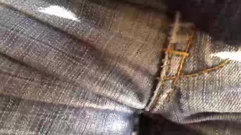 Snapshot of trobelle chatting on November 18, 11:36 am trobelle online show from November 18, 11:36 am