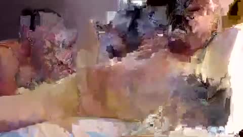 Snapshot of trojanswingers chatting on February 11, 5:29 pm trojanswingers online show from February 11, 5:29 pm