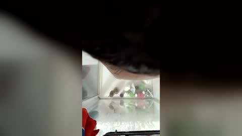 troyacowen1982 online show from July 18, 7:56 am