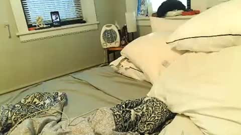 Amber White online show from February 1, 2:37 pm