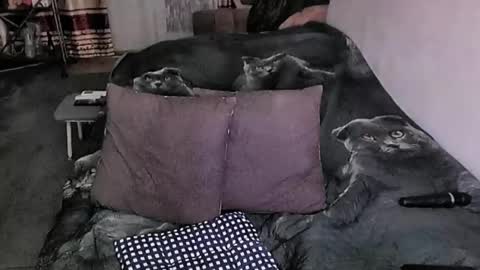 Lana online show from March 16, 6:45 pm