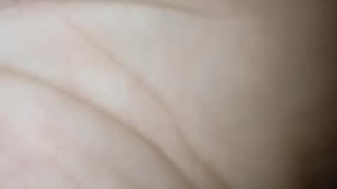 twest84 online show from October 28, 8:18 am