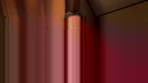 twosmallholes42 online show from March 1, 4:03 am