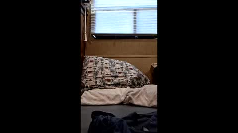 Snapshot of twp123 chatting on March 10, 9:31 pm Matt online show from March 10, 9:31 pm