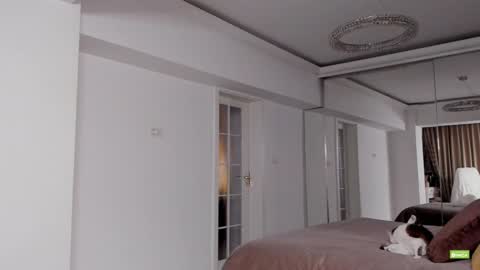 Silvia online show from December 15, 5:42 pm