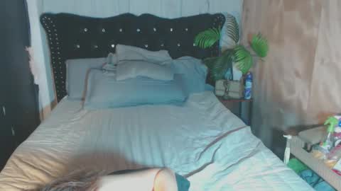 jam online show from November 12, 11:43 am