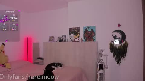    online show from December 23, 12:08 am