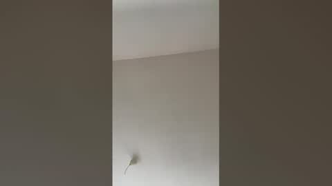 Snapshot of valerianleclercq2025 chatting on February 27, 4:07 pm valerianleclercq2025 online show from February 27, 4:07 pm