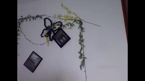 Snapshot of valery_honey_ chatting on June 2, 1:18 am valery_honey_ online show from June 2, 1:18 am