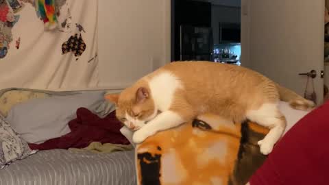 Vanessa  online show from December 15, 2:05 am