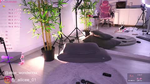 Vanessa Simon online show from February 8, 12:17 pm