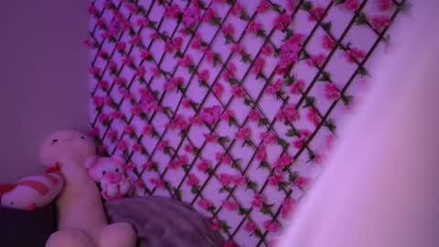 Polly online show from November 4, 6:18 pm