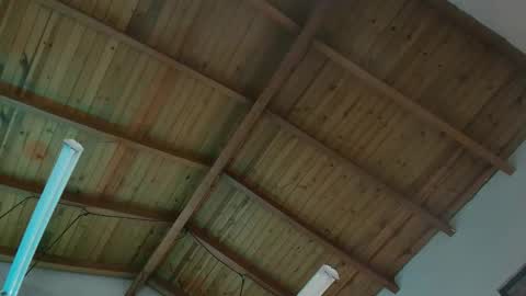 VENUS online show from November 29, 11:57 am