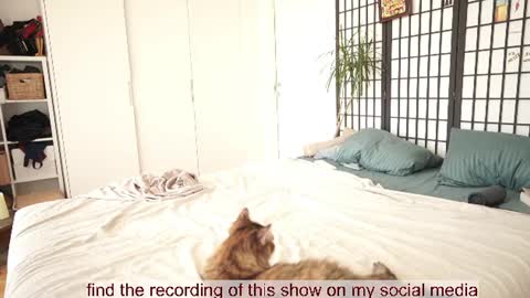Snapshot of venus_in_jeans chatting on July 28, 11:17 am Bella online show from July 28, 11:17 am