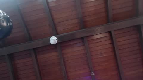 Snapshot of venusevans1 chatting on February 12, 2:56 am Venus Evans online show from February 12, 2:56 am