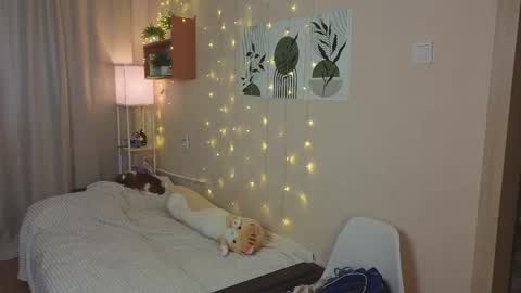 Veronica online show from October 28, 5:55 am