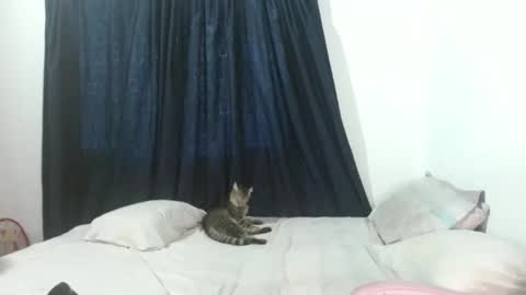 veronicagracia2531 online show from November 17, 9:09 pm