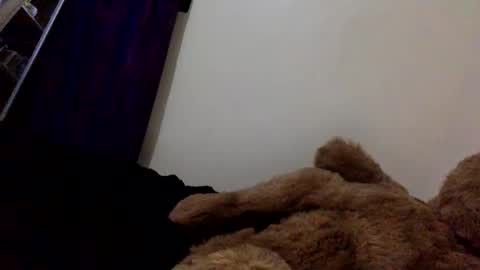 Snapshot of veryberrry chatting on April 13, 10:04 pm DarkBerryBliss online show from April 13, 10:04 pm