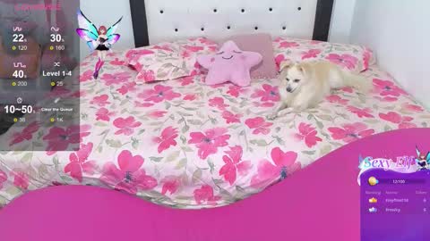 Violeta online show from February 3, 6:40 am