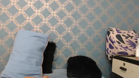 Snapshot of violeta_cute18 chatting on December 18, 1:15 am Violeta online show from December 18, 1:15 am