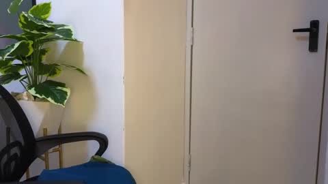 Ashley online show from February 9, 9:05 am