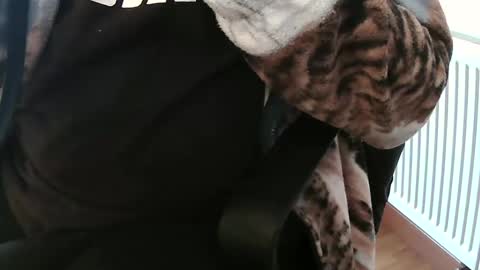 Snapshot of vulkan12p chatting on February 4, 2:10 pm Daniel online show from February 4, 2:10 pm