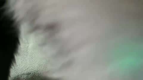 Snapshot of vulkan12p chatting on February 28, 7:56 pm Daniel online show from February 28, 7:56 pm