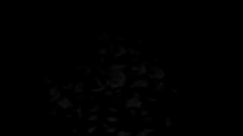 Snapshot of w2456 chatting on November 25, 11:38 pm w2456 online show from November 25, 11:38 pm