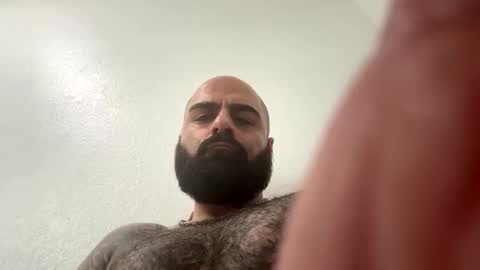 waappp online show from November 14, 7:45 pm