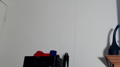 Snapshot of wantsum2night chatting on January 16, 3:34 am wants online show from January 16, 3:34 am