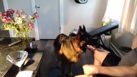 wasted_daze_ online show from March 11, 10:38 pm