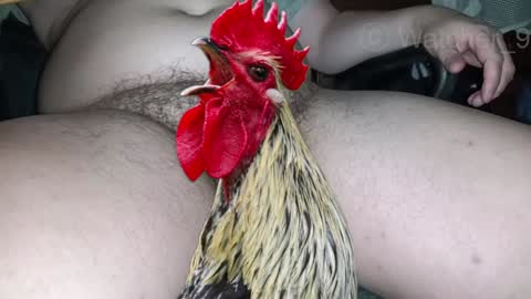 classified online show from December 24, 11:33 pm