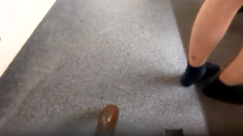 waterd4wg online show from April 19, 6:07 pm