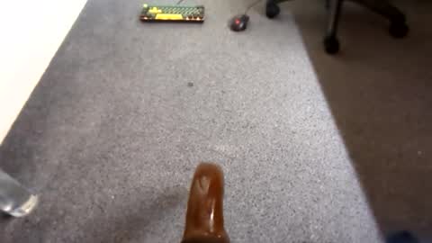 waterd4wg online show from April 19, 6:10 pm